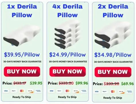 Derila Ergo Pillow official website buy